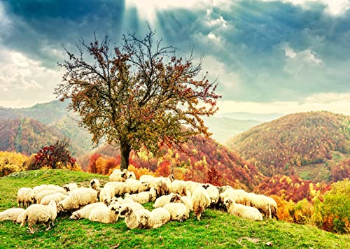 Breathtaking Christian Landscape: Sheep in Holy Light