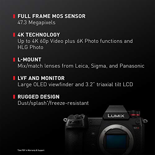 Capture Stunning Moments: Panasonic LUMIX S1R Mirrorless Camera