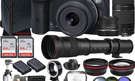 Capture Life: Canon R7 Mirrorless Camera