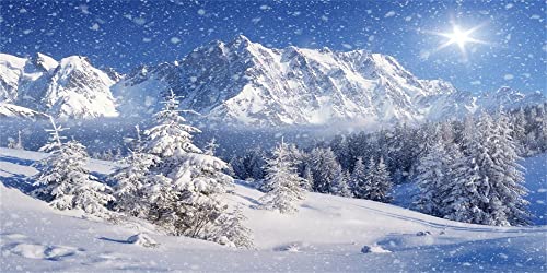 Captivating Winter Wonderland Photography Backdrop