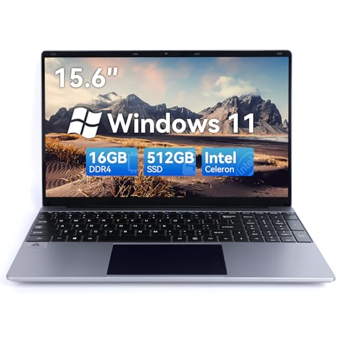 Powerful 16GB RAM Laptop with Windows 11 & IPS FHD Display