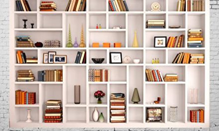Elevate your Zoom meetings with a stunning Bookshelf backdrop