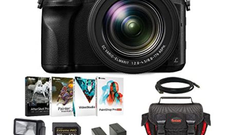 Capture Memories with Panasonic LUMIX DMC-FZ2500 Camera!