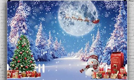 Capture Magical Winter Moments with 20x10ft Christmas Night Vinyl Backdrop